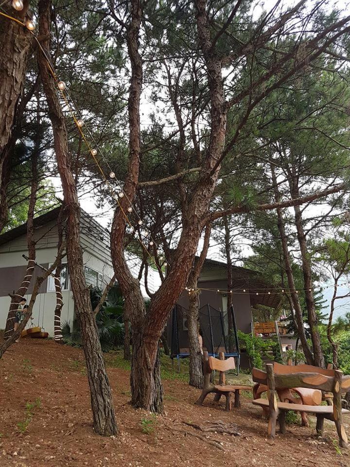 Bachlien Pine Forest Villa Hà Nội Ngoại thất bức ảnh